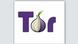 Logo Tor Project